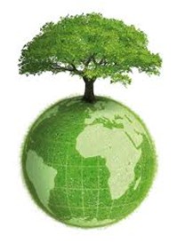 Management de l’environnement, Environment management